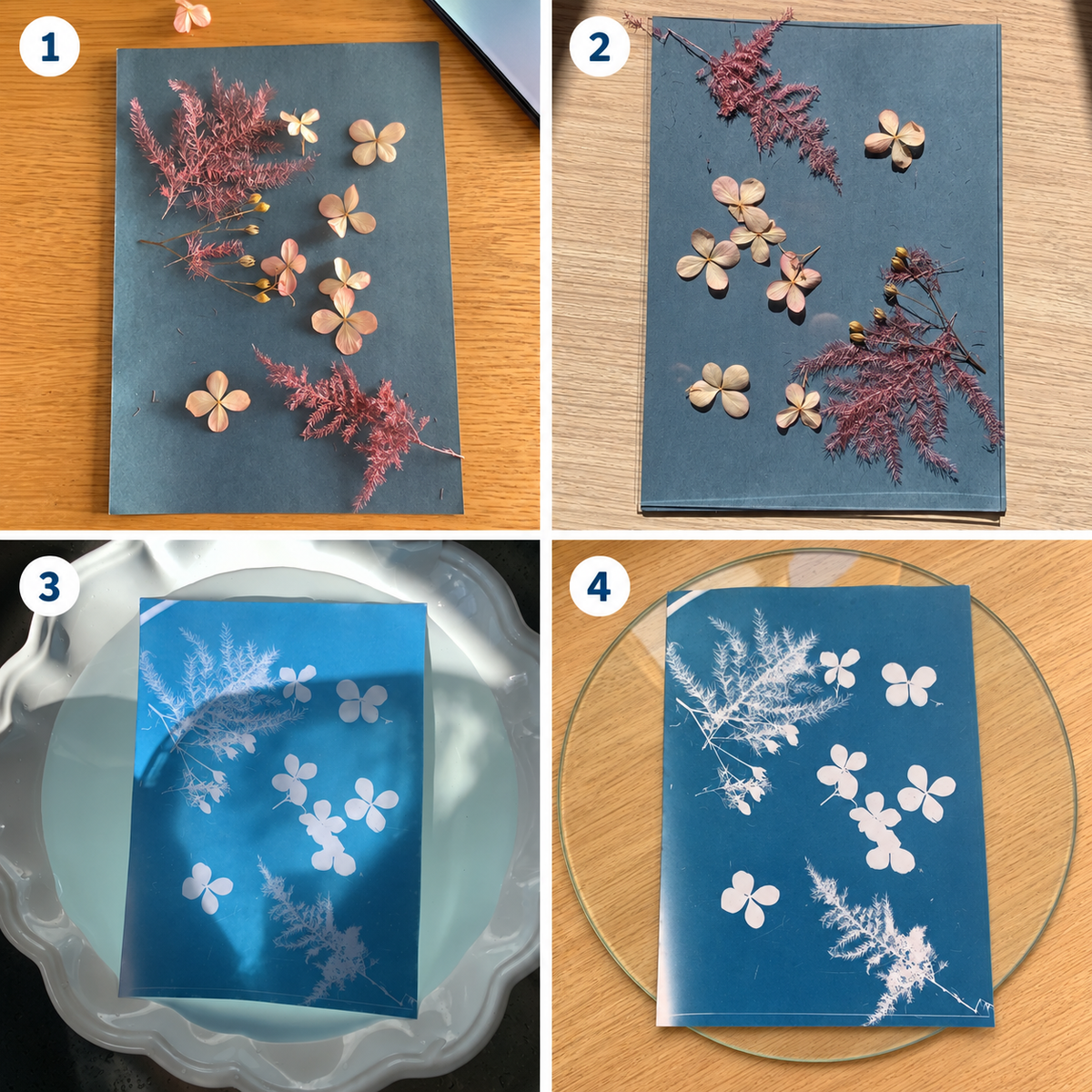 Comment réussir son premier tirage cyanotype ? Guide pas à pas