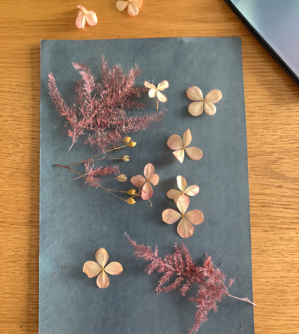 Composition végétale sur papier cyanotype