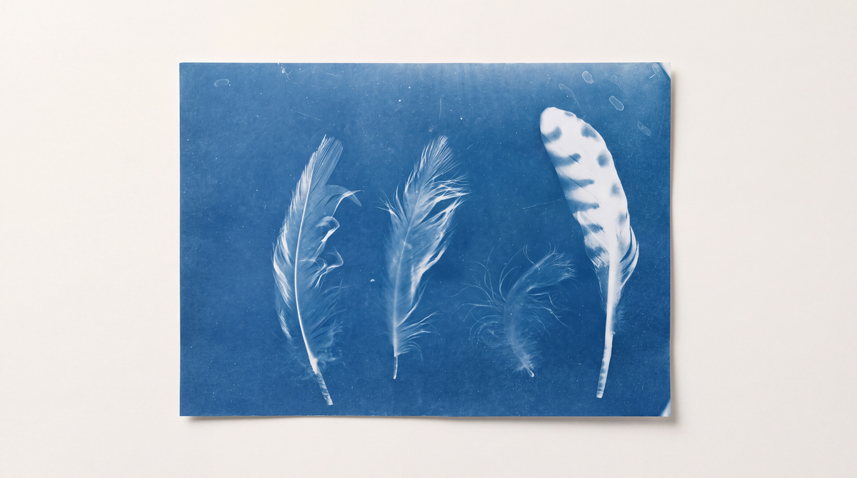 Kit Cyanotype prêt à l’emploi
