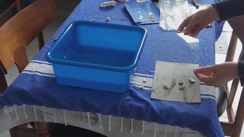 Le Kit d'Insolage Cyanotype - Format Créateur